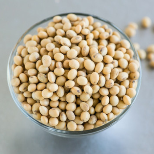 Export-Quality Indian Soybeans – Non-GMO, High-Protein & Traceable for Global Use
